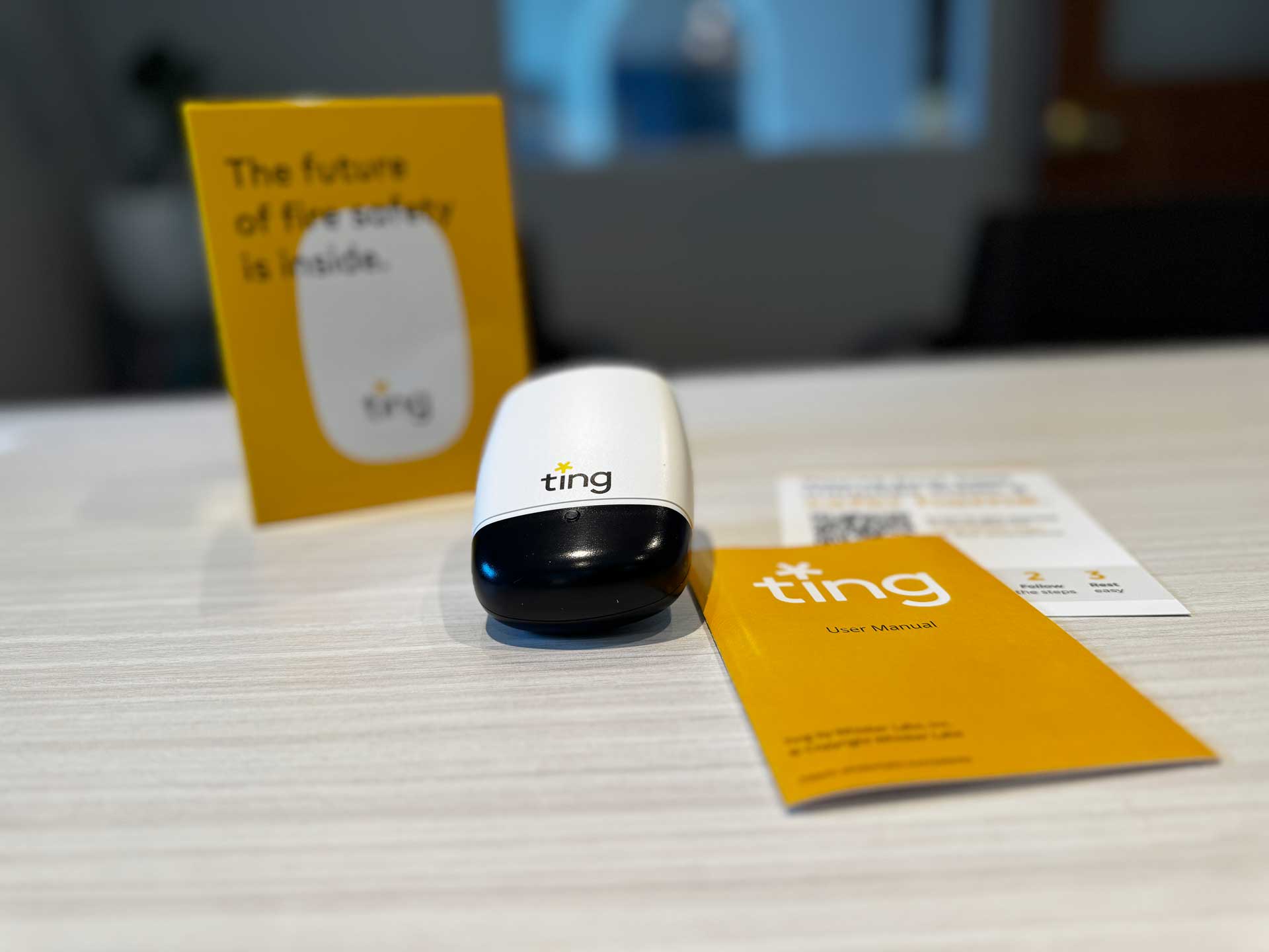 Ting smart home electrical fire prevention device