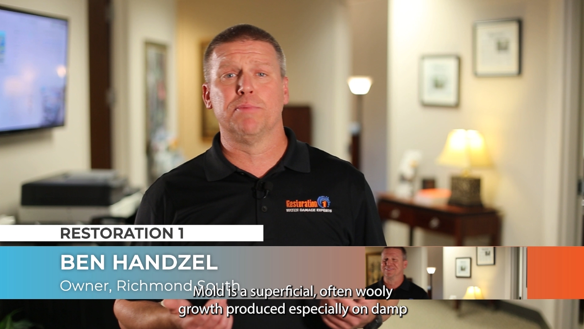 Mold insurance lesson video