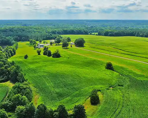 A drone shot of beautiful corn fields in Amelia Virginia