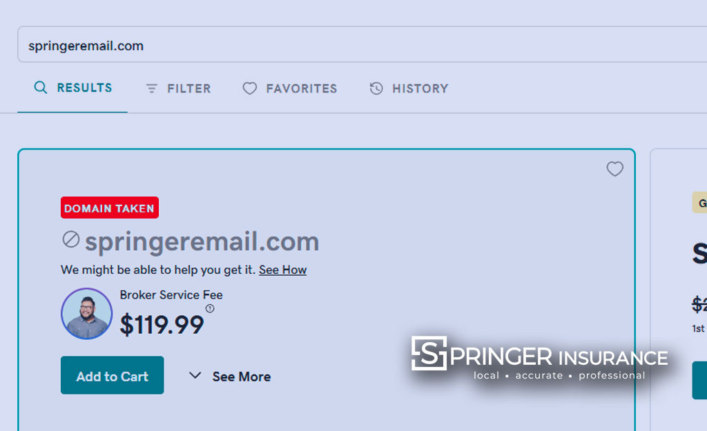Screen Grab of our domain Registration